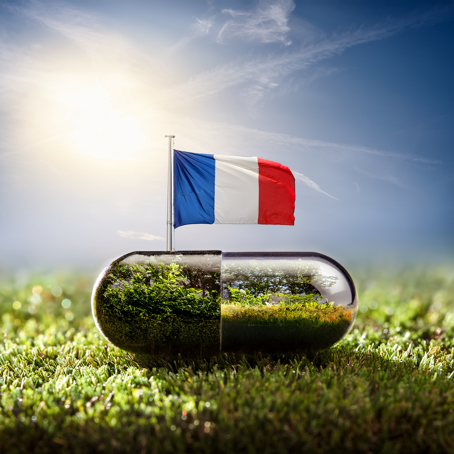 Francais Gélules françaises